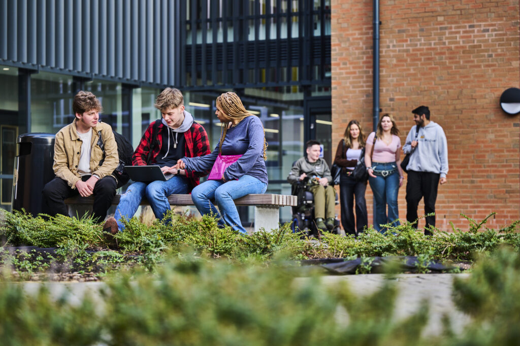 Students studying and working in the campus grounds